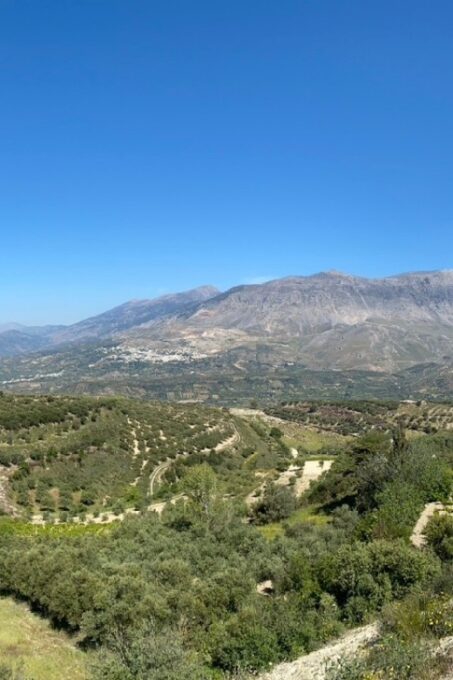 Crete: Jeep Safari, Mountains, Goat-Keeping & Cheese Making - Driving Requirement