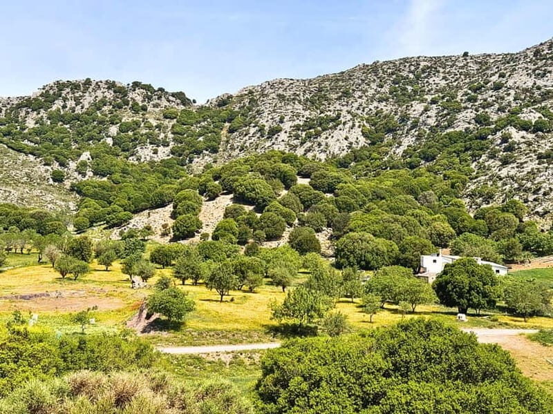 Crete: Jeep Safari to Lasithi Plateau - Beach Time at Malia