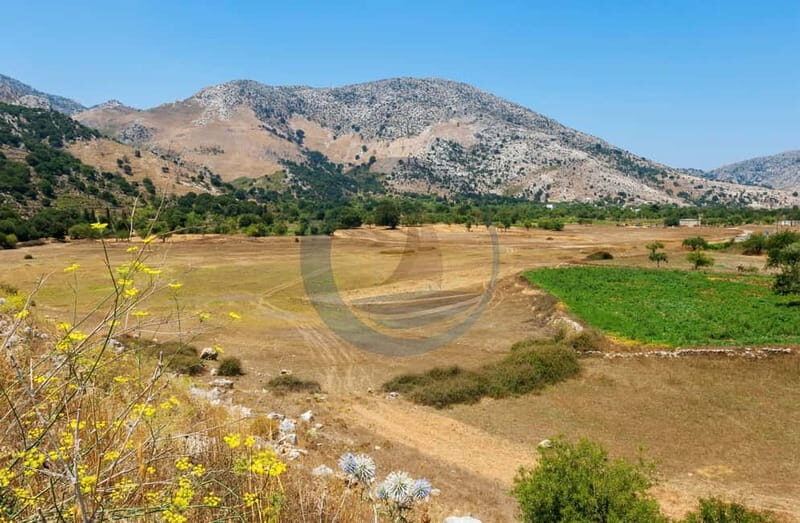 Crete: Knossos Palace, Lasithi, Olive Oil Factory Tour - Exploring Crete: What to Expect from the Tour