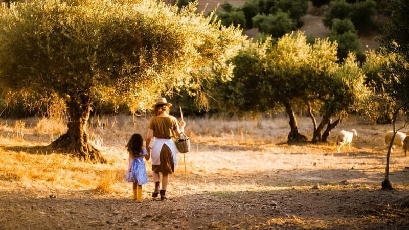 Crete: Knossos Palace, Olive Oil Tasting, and Heraklion Tour - Discovering Crete’s Past at Knossos Palace