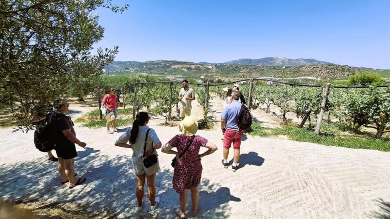 Crete: Knossos Palace, Winery & Olive Oil Tour with Lunch - An In-Depth Look at the Tour Experience