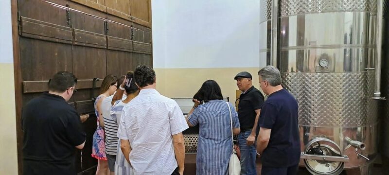 Crete: Knossos Palace, Winery & Olive Oil Tour with Lunch - Who Will Enjoy This Tour?