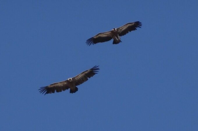 Crete: Land Rover Safari on Minoan Route - Additional Information