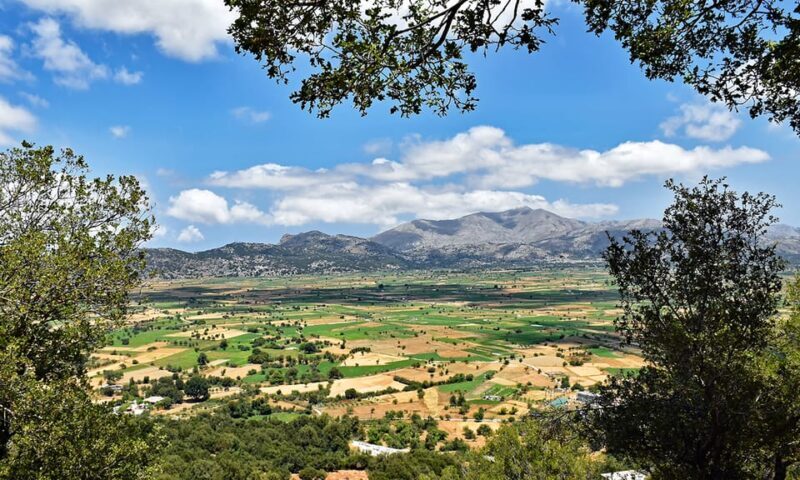 Crete: Lasithi Plateau & Knossos Palace Day Trip - Who Will Love This Experience?