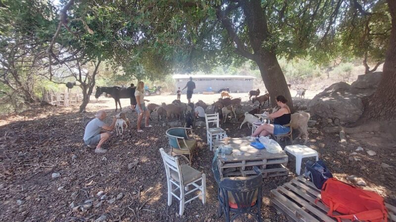 CRETE :MALIA HERSSONISOS QUADS ECOTOUR ADVENTURE - HIGH PERF - Who Will Love This Tour?