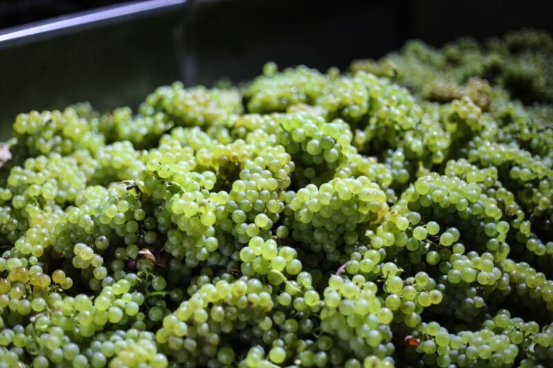 Crete: Olive, Wine, & Raki on a Flavorful Culinary Journey - Authenticity, Guides, and Overall Experience