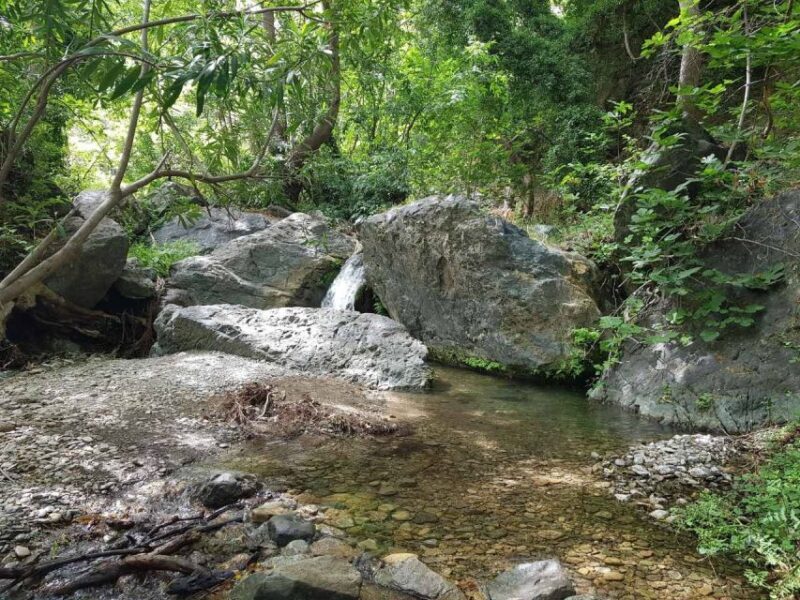 Crete: Richtis Waterfall Full-Day Tour with Olive Tasting - Final Thoughts