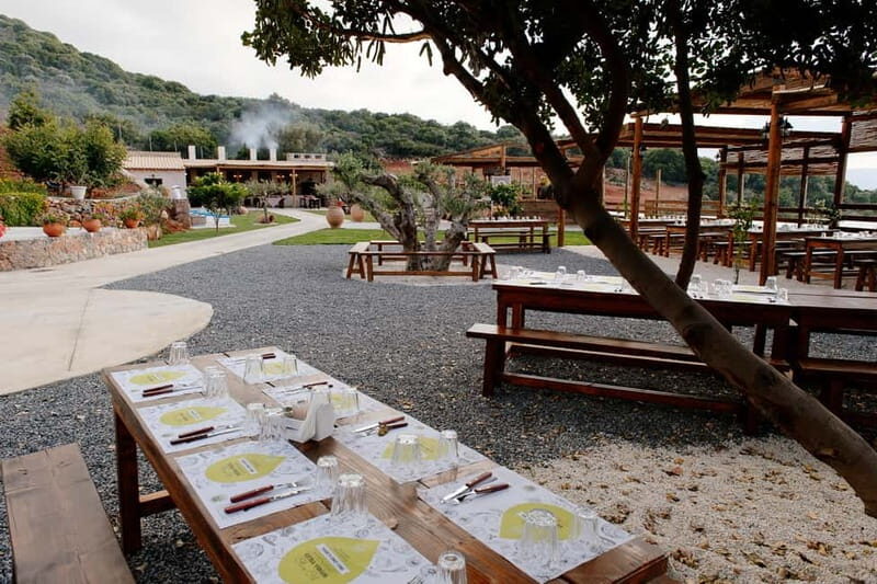Crete: Road-trip to Lasithi Plateau & Olive Mill Farm - The Practical Side
