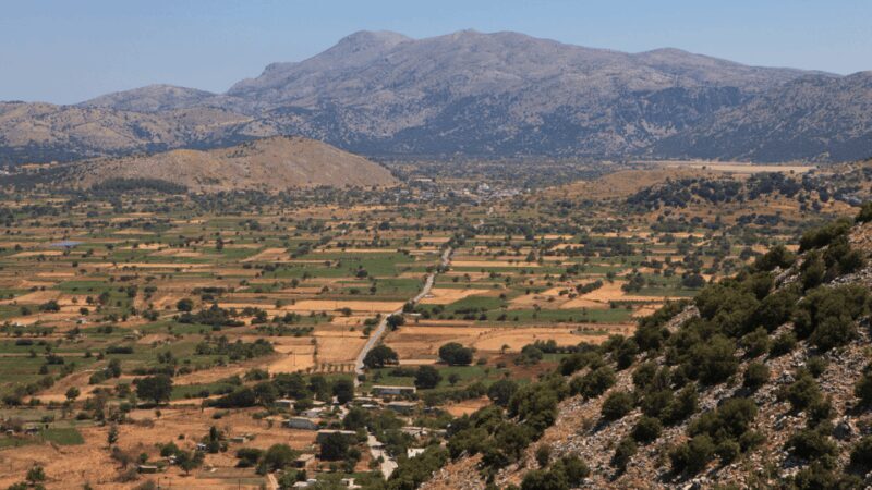 Crete: Road-trip to Lasithi Plateau & Olive Mill Farm - Key Points  