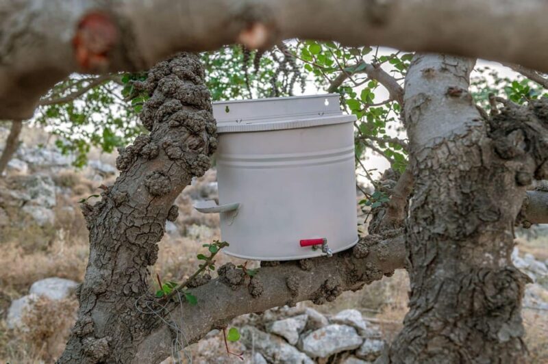 Crete Rodakino: Sleep under the stars - An In-Depth Look at the Experience