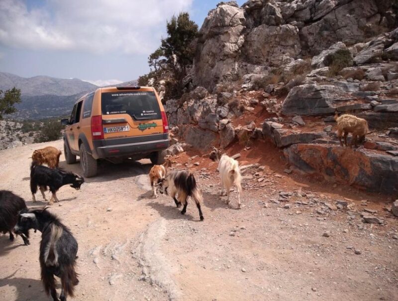 Crete: VIP Full-Day Private Tour - Transportation and Accessibility
