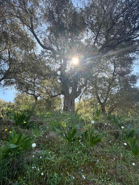 Cretes Secret Trail: Agia Irini Gorge & Sougia Escape - The Practicalities and Value