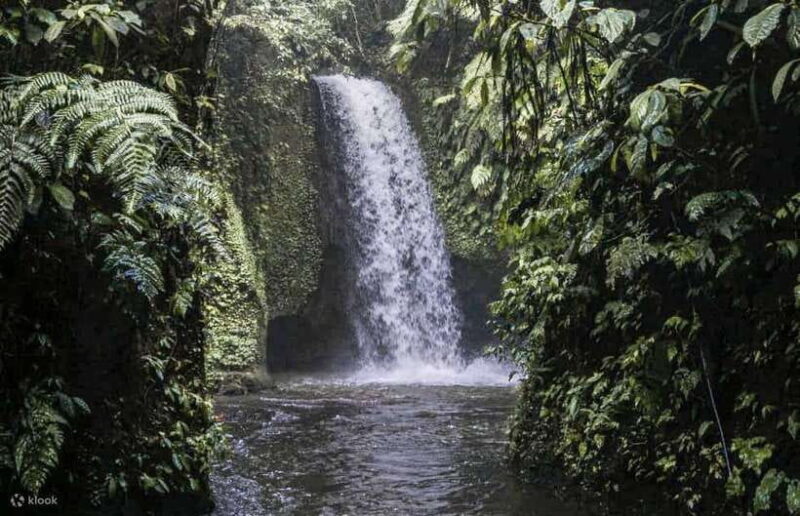 Cretya Ubud Infinity Pool,Hidden Waterfall, Temple &Lunch - FAQs