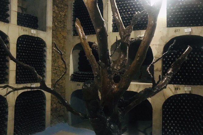 Cricova & Milestii Mici Wineries - Logistics and Practicalities