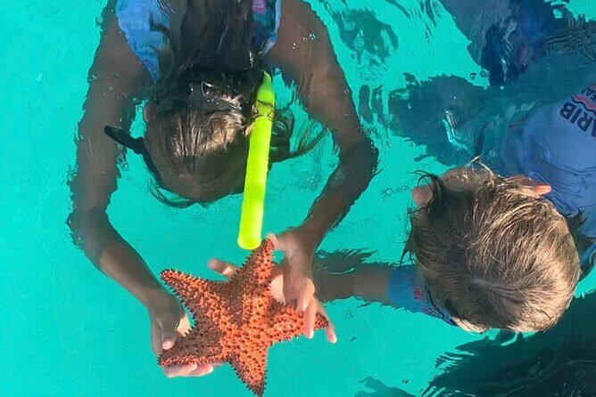 Cristal Speed boat, Snorkeling, Beach Tour & Lunch St Maarten - An Unforgettable Full Day in St. Maarten