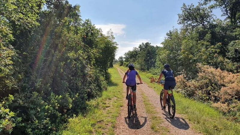 Croatia, Istria: 7-Day Premium Cycling & Gourmet E-Bike Tour - Key Points