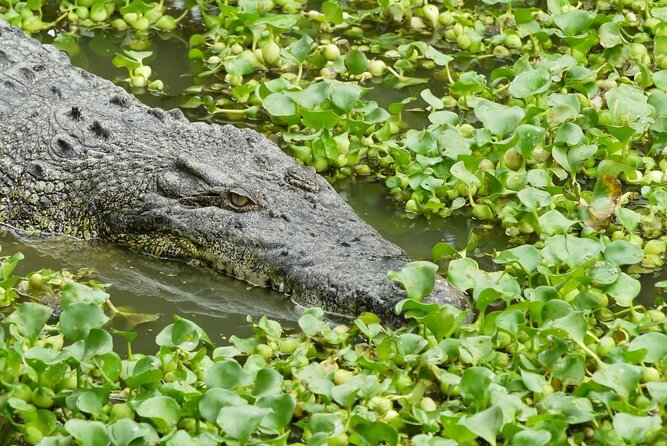Crocodile Adventureland Langkawi Admission Ticket - Good To Know