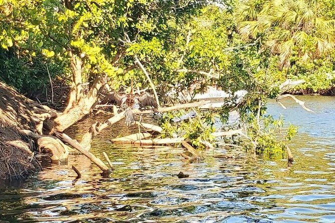 Croc´s & Turtle Aquarium - A Closer Look at the Itinerary