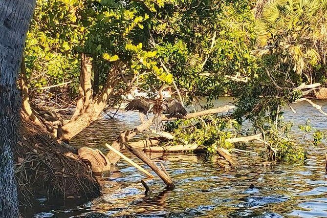 Croc´s & Turtle Aquarium - The Experience from Reviews