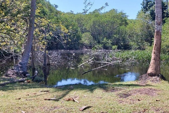 Croc´s & Turtle Aquarium - The Sum Up: Is It Worth It?