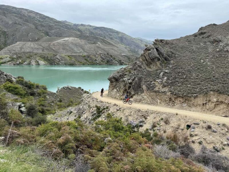 Cromwell: Lake Dunstan Boat & eBike Tour with Winery Lunch - Who Would Enjoy This Tour?