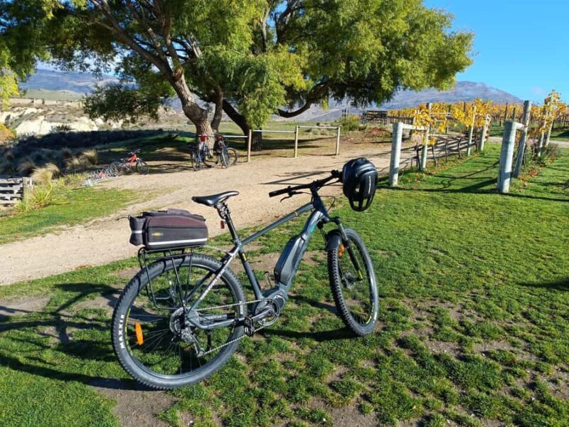 Cromwell: Lake Dunstan Trail Bike Rental and Luxury Shuttle - Final Thoughts