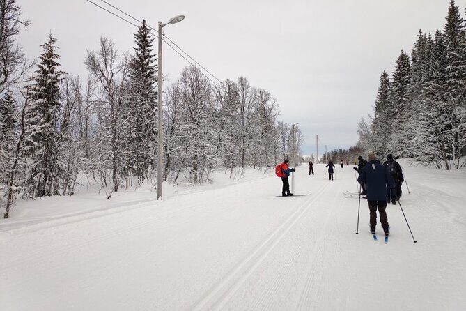 Cross-Country Ski Lesson for Beginners in Tromso - The Cost & Value