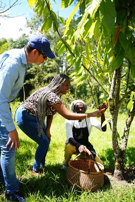 Croydon in the Mountains - Eco Farm Tour with Lunch - FAQ