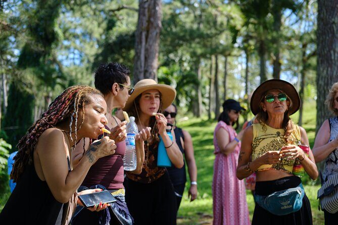 Croydon In The Mountains - Exotic Fruits & Flowers - The Itinerary: A Closer Look