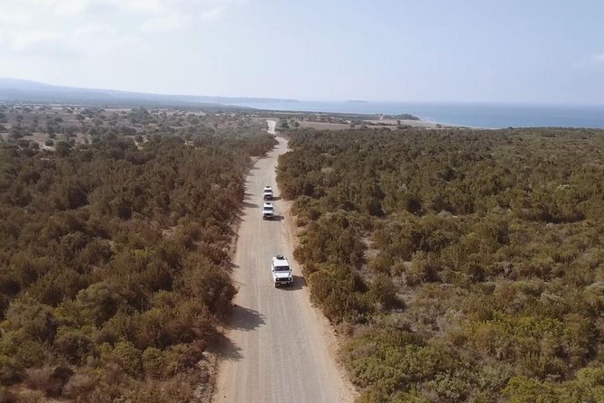 Cruise and 4X4 Safari Tour at Akamas Peninsula From Limassol - Customer Reviews