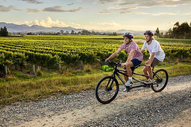 Cruise Excursion Self Guided Biking Wine Tour - Why Choose This Self-Guided Biking Tour?