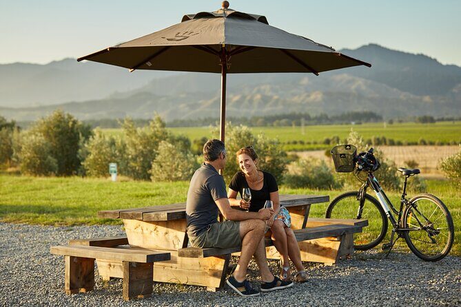 Cruise Excursion Self Guided Biking Wine Tour - Price and Value Analysis