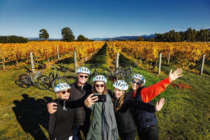 Cruise Excursion Self Guided Biking Wine Tour - The Sum Up