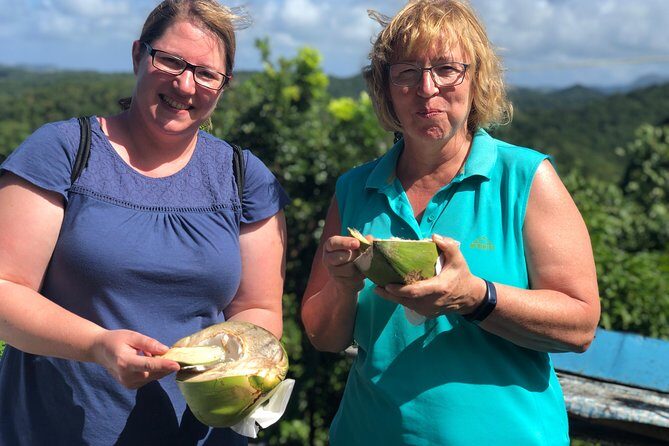 Cruise Excursions in St. Lucia - FAQ