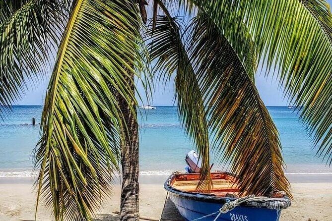 Cruise Port and Airport Arrival Transfers to Hotels in St. Lucia. - Review Highlights & Authentic Perspectives