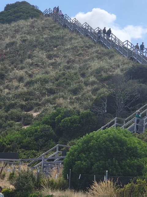 Cruise Ship Bruny Island Shore Excursion - Additional Information