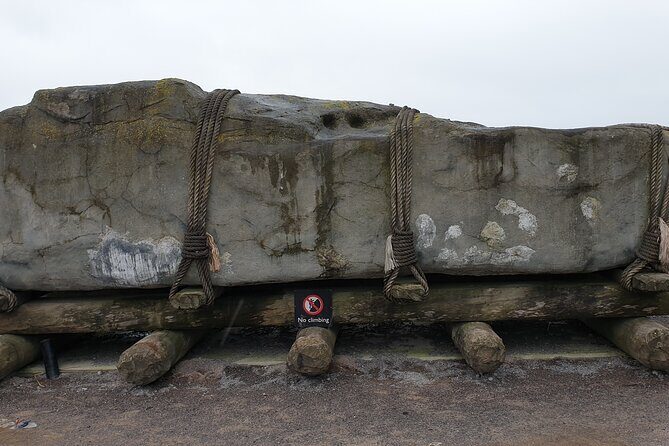 Cruise Ship driver guided tours - In-Depth Look at the Itinerary