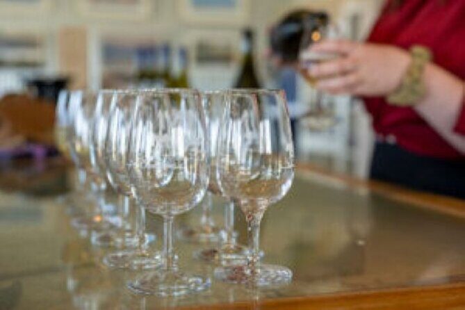CRUISE SHIP Dudley Wines & False Cape Wine Tour - FAQ: Your Questions Answered