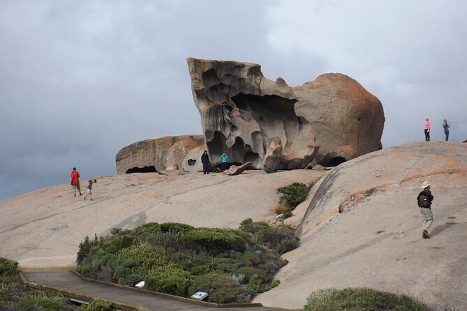 Cruise Ship Flinders Chase Tour - Transportation and Group Dynamics