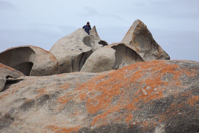 Cruise Ship Flinders Chase Tour - Who Will Love This Tour?