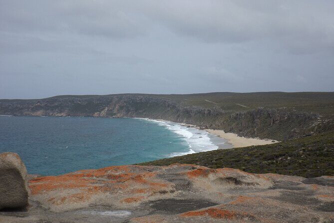 Cruise Ship Flinders Chase Tour - Final Thoughts