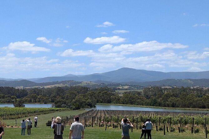 Cruise Ship Friendly Yarra Valley Wine Tour with Port Pickup - Key Points