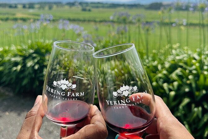 Cruise Ship Friendly Yarra Valley Wine Tour with Port Pickup - An In-Depth Look at the Yarra Valley Experience