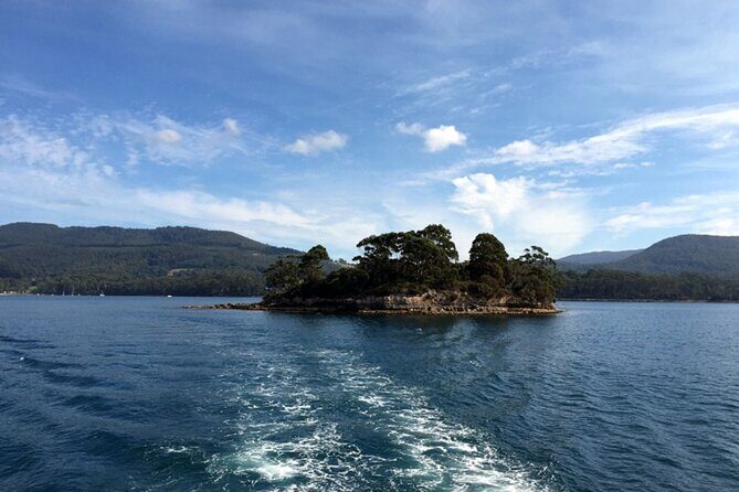 Cruise Ship - Port Arthur Shore Excursion - Hobart - The Itinerary Breakdown: What Really Makes This Tour Special