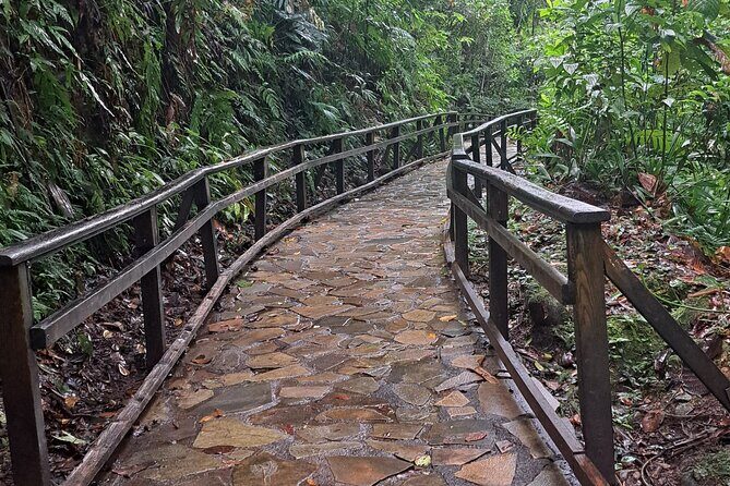 *Cruise Stopover* - CASCADE WITH CRAYFISH- Sainte-Anne Beach - FAQs About the Tour