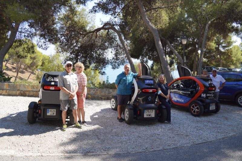 Cruise Terminal Pickup: Málaga in 2 Hours by Electric Car - Key Points