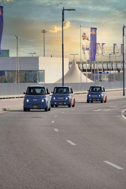 Cruise Terminal Pickup: Málaga in 2 Hours by Electric Car - Important Information