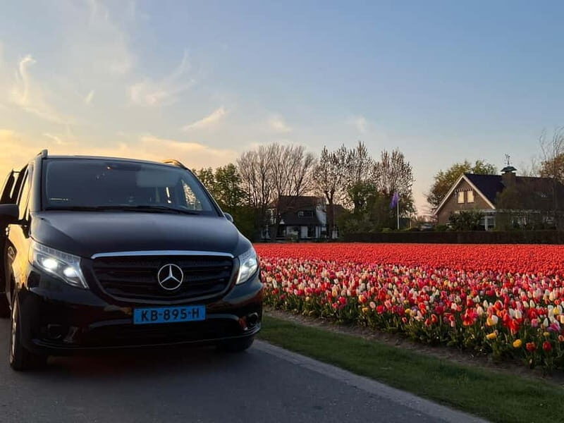 Cruise Terminal Rotterdam: Private Tour by Luxury Van - What You Can Expect on Your Private Tour