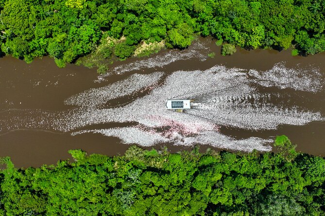 Cruise Tour Through the Bolivian Amazon in Trinidad Beni - Discovering Unique Wildlife