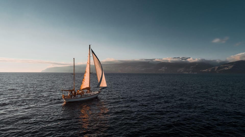 Cruise Trips - Price and Value: How Much Do You Get for Your Money?
